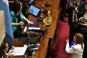 Villarruel y Bullrich, la postal del nuevo Senado que dejó la sesión de jura.