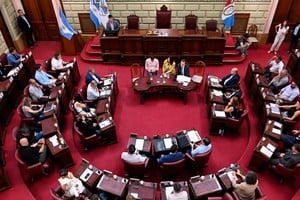 La actividad legislativa tuvo un 2025 atravesada por la Convención y las elecciones nacionales.