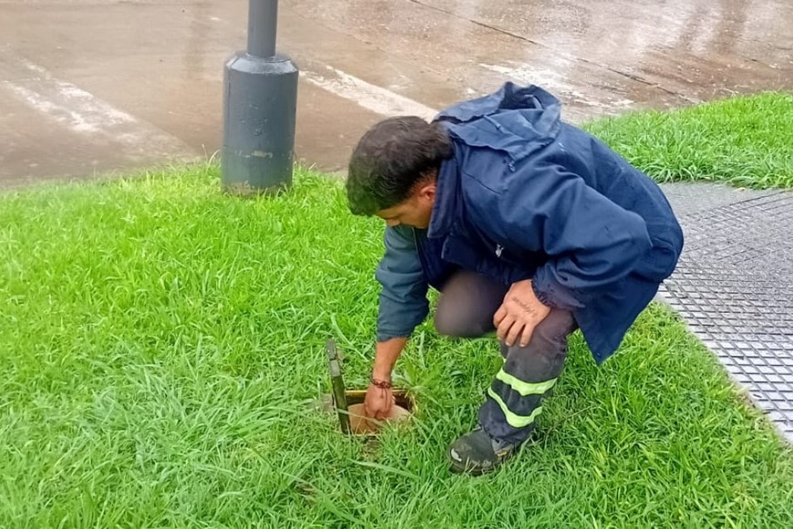 Pese a la lluvia registrada durante la jornada, las tareas se llevaron adelante