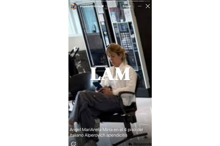 marianela mirra alperovich