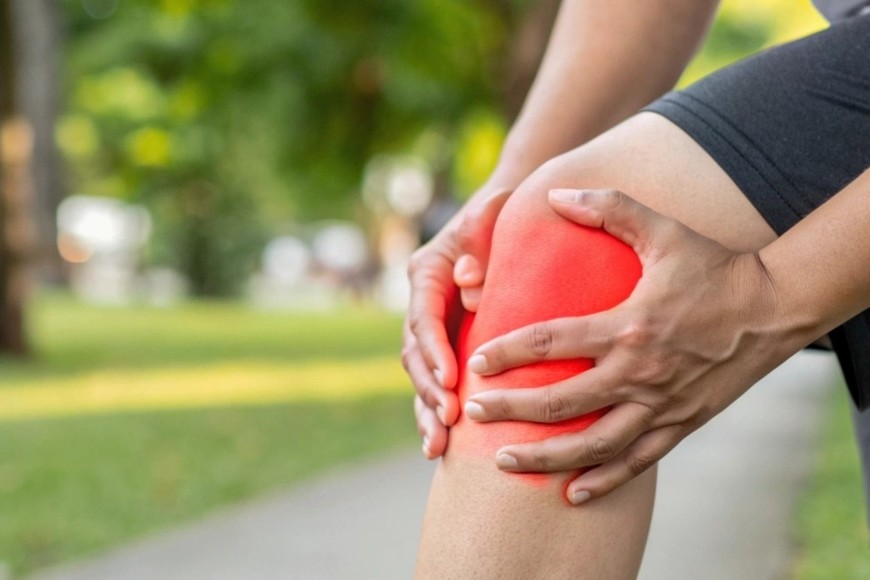 La rodilla es una articulación compleja que soporta peso,