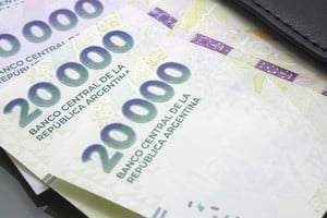 Bono extraordinario previsional 