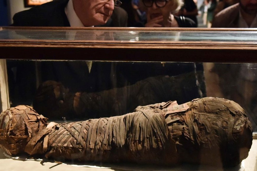 Museo Nacional de Bellas Artes