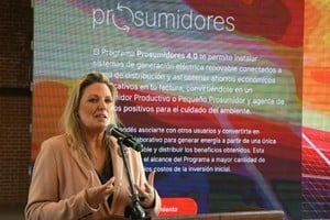 Verónica Geese dejó el cargo de Secretaria de Energía de la Provincia de Santa Fe. Créditos: Mauricio Garin