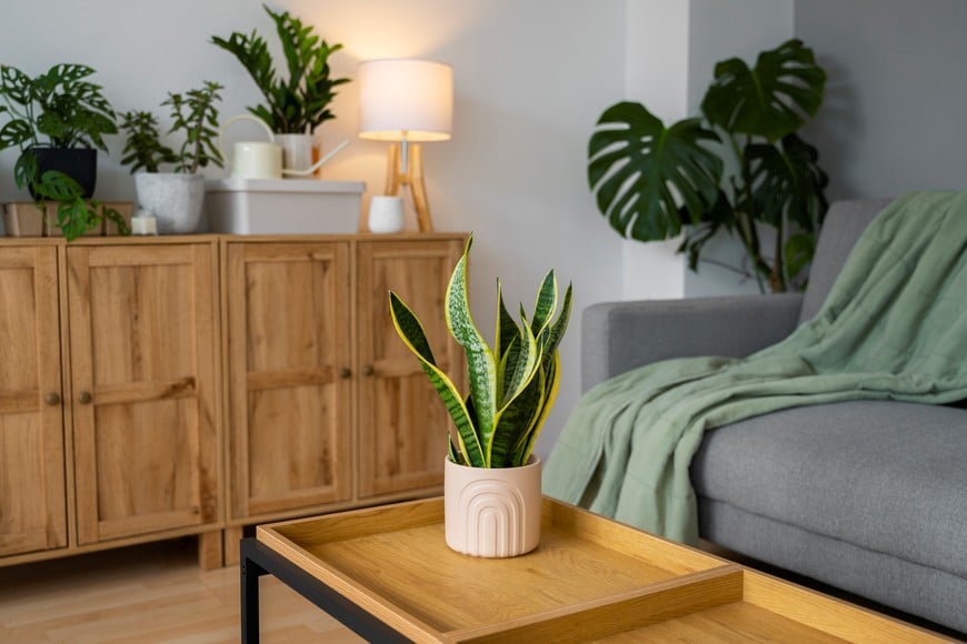 Ambiente pensado para transmitir orden y armonía visual.