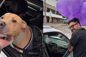 Bocinas, aplausos y globos: la caravana para celebrar que Magnus le ganó al cáncer.