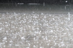 Imagen ilustrativa. Crédito: Manuel Fabatía