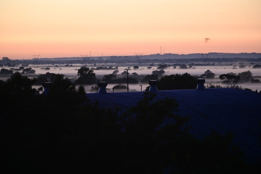 Imagen ilustrativa. Crédito: Flavio Raina