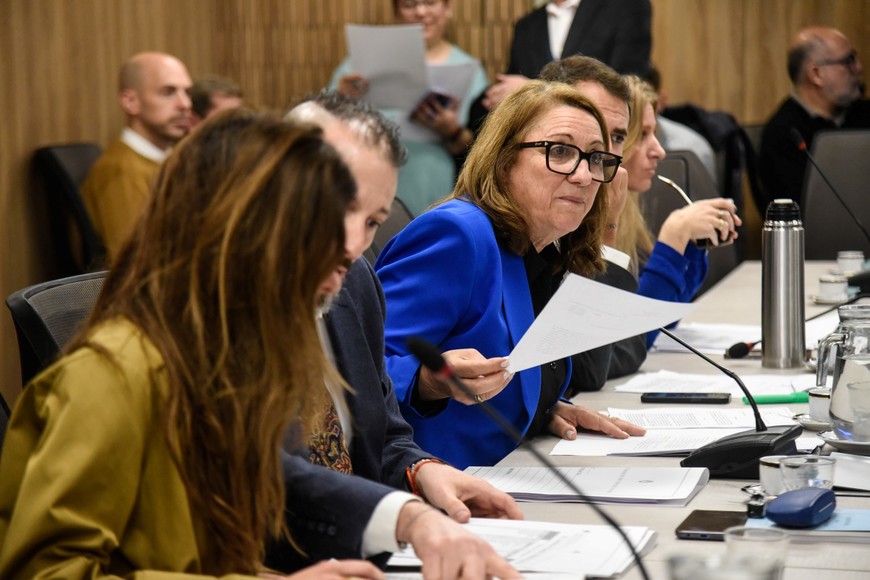 La Comisión presidida por Mónica Fein dio a conocer este martes el informe final luego de casi tres meses de arduo trabajo que tuvo la participación de todos los bloques que integran la Cámara de Diputados.
