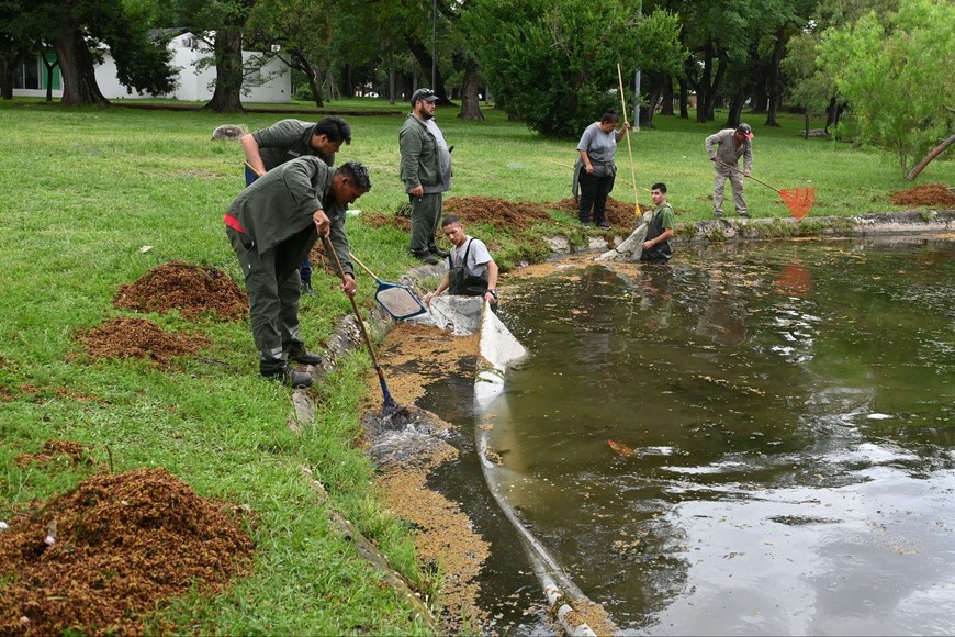 La zona de piletones recibe limpieza y mantenimiento regular para garantizar su uso en verano.