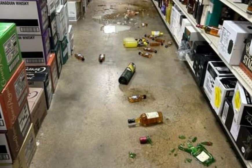 El animal vació los estantes de alcohol del local.