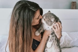 Momentos de juego que reducen el estrés felino.