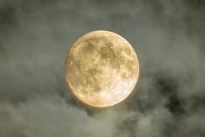 La última Luna llena de 2025 tiene características que la hacen única y diferente a sus antecesoras.
