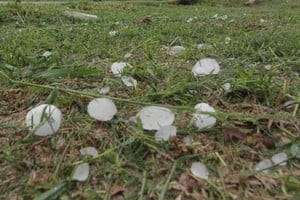 Imagen ilustrativa. Crédito: Manuel Fabatía