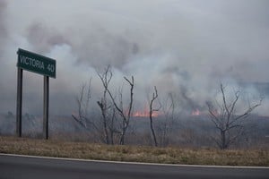 La quema de pastizales en la zona de Victoria, Entre Rios.