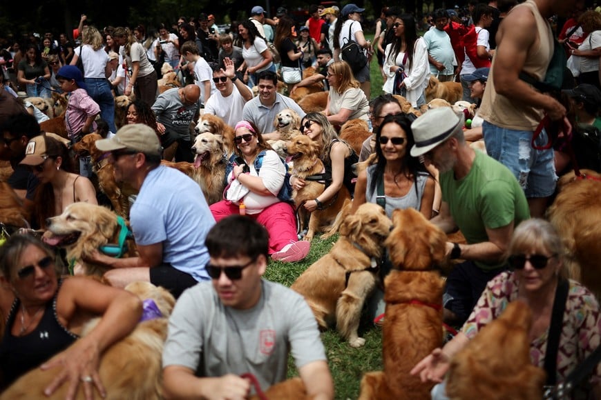 Golden Retrievers and their owners participate in a meetup seeking to break the world record for the largest gathering of the breed, in Buenos Aires, Argentina December 8, 2025. REUTERS/Agustin Marcarian