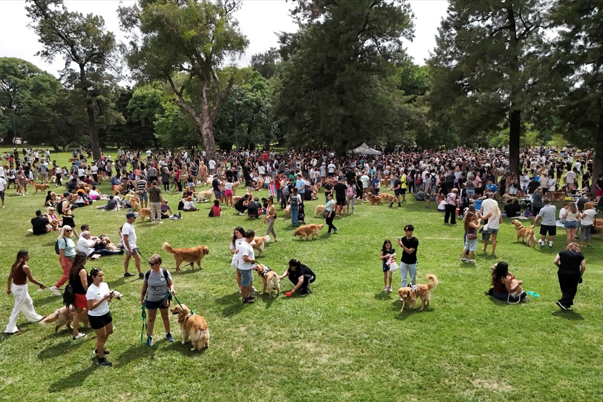 A drone view of Golden Retrievers and their owners participating in a meetup seeking to break the world record for the largest gathering of the breed, in Buenos Aires, Argentina December 8, 2025. REUTERS/Agustin Marcarian