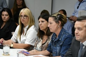 Castellani, Brower, García, Senn y Blanco, integrantes de Presupuesto y Hacienda. Foto: Manuel Fabatía