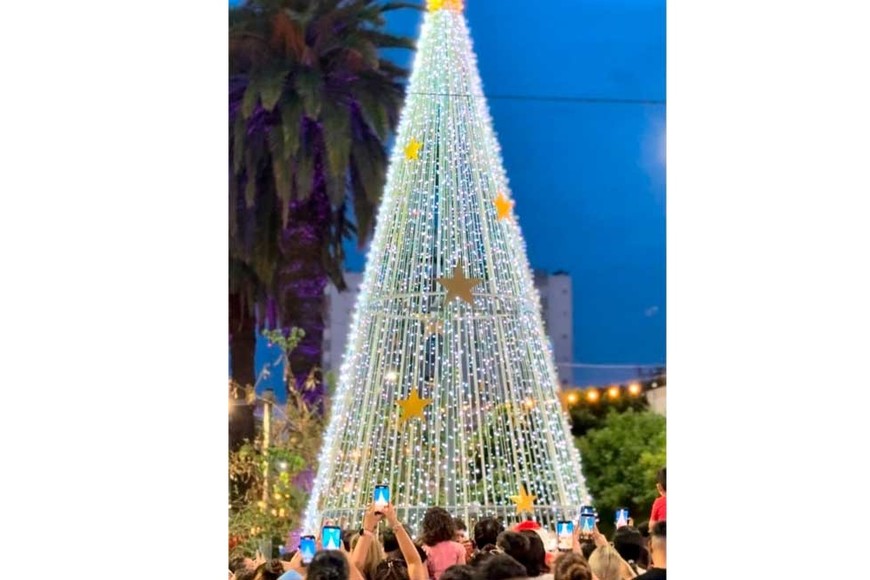 El arbolito de Rafaela.