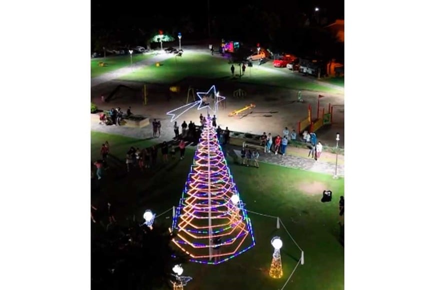 El arbolito de Helvecia.