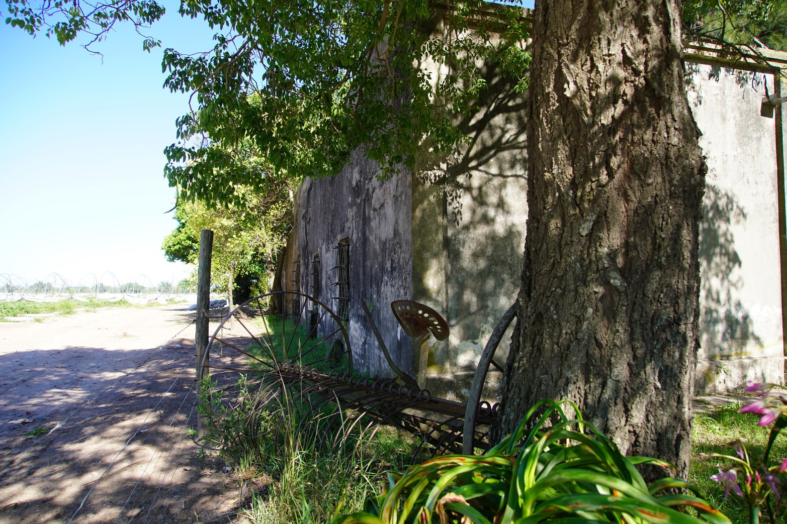 El paso de Carlos Gardel por Coronda.
