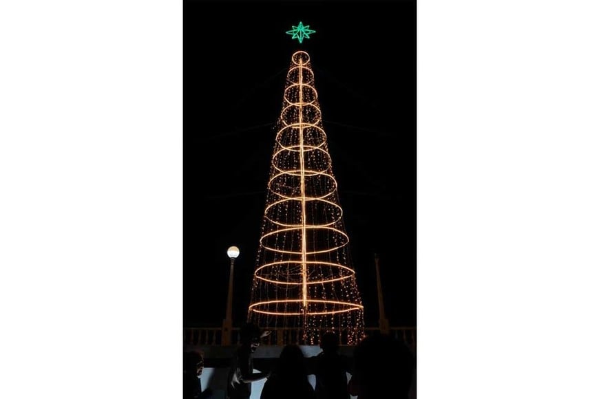 El arbolito de Coronda.