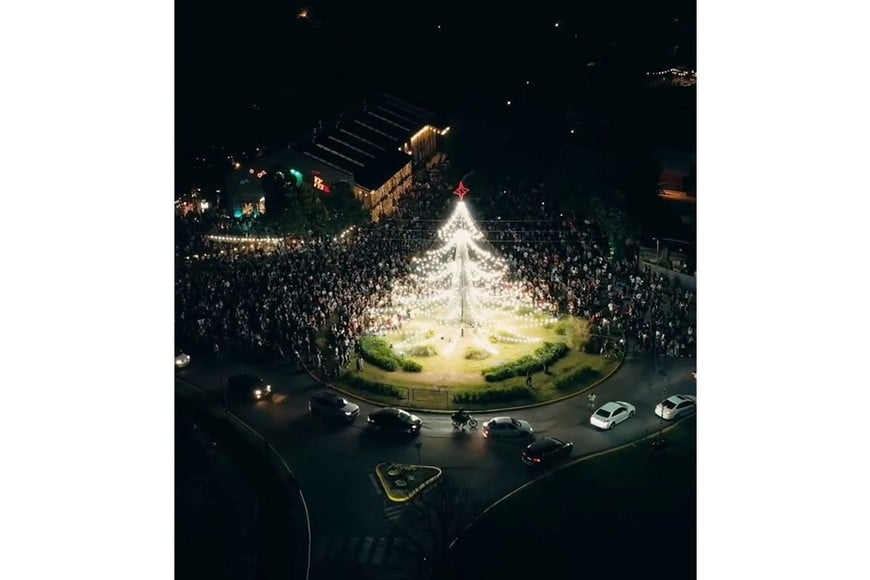 El arbolito de Funes.