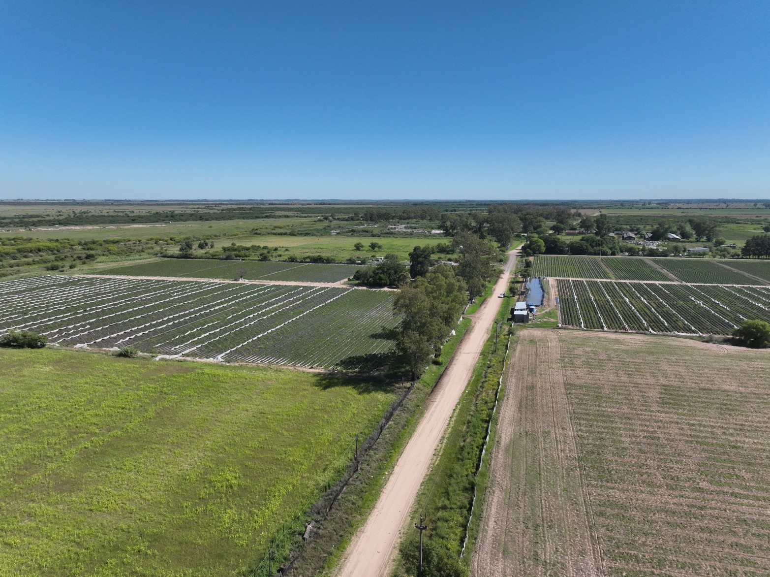 El paso de Carlos Gardel por Coronda.