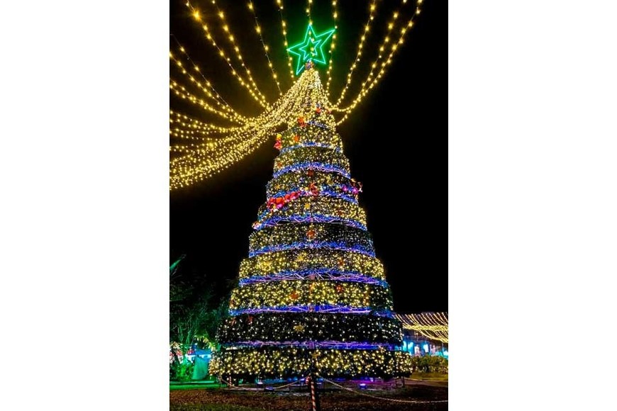 El arbolito de Reconquista.