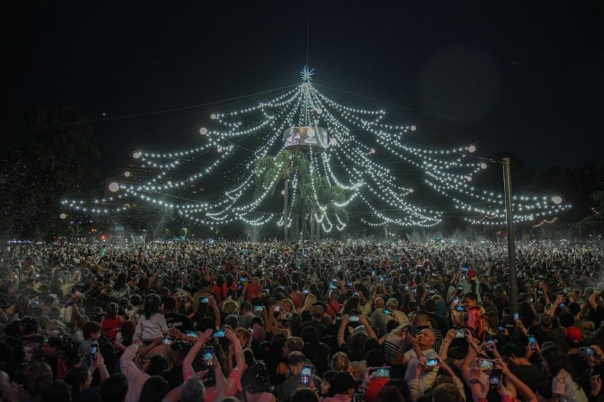 El arbolito de Rosario.