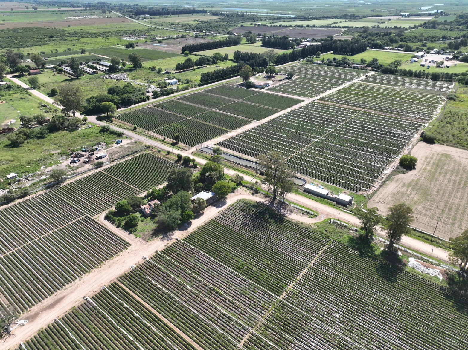 El paso de Carlos Gardel por Coronda.