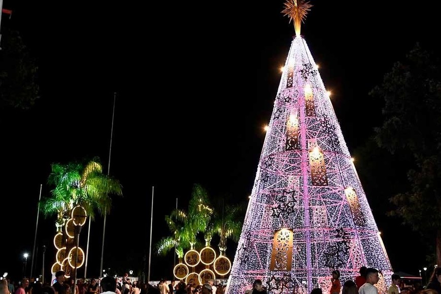 El arbolito de Avellaneda.