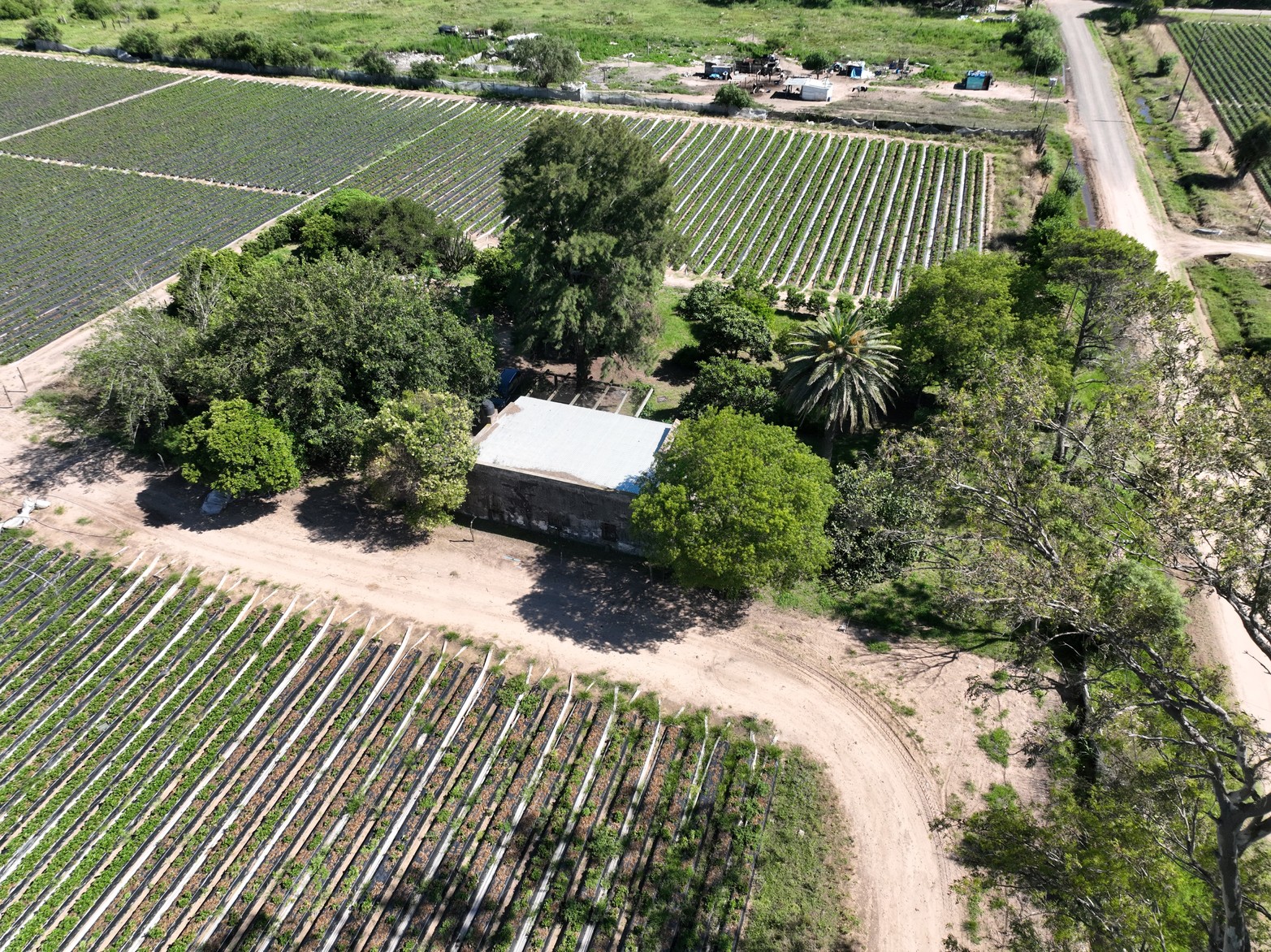 El paso de Carlos Gardel por Coronda.