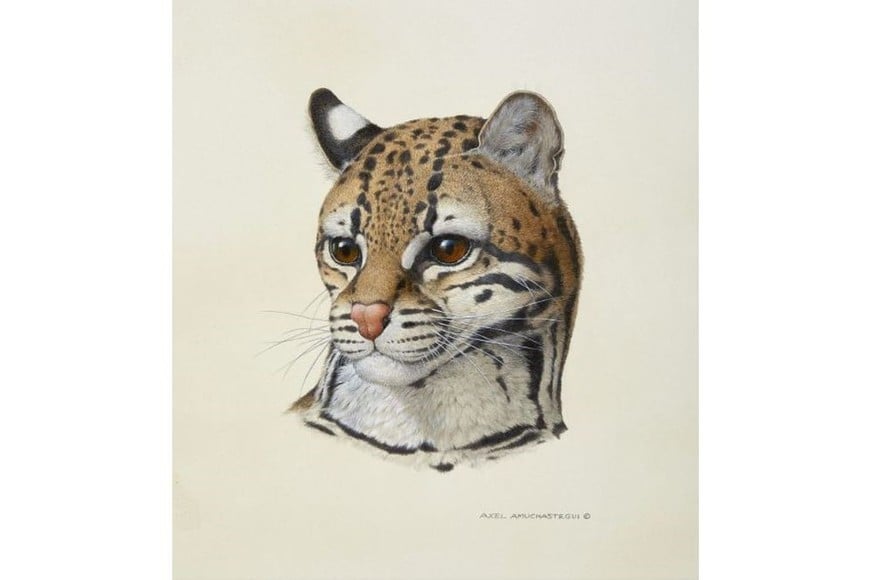 Rountree Tryon Galleries