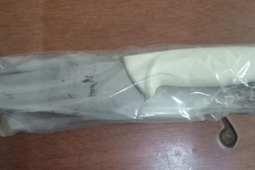 La policía se incautó una cuchilla que habría sido utilizada en el ataque al perro. Foto: Gentileza