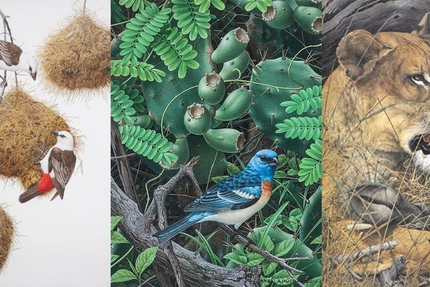 Rountree Tryon Galleries