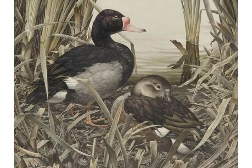 Rountree Tryon Galleries