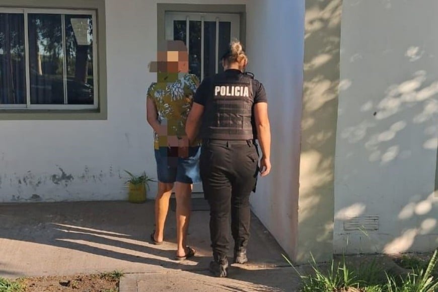 Secuestro de plantas de cannabis en Sauce Viejo. Foto: Gentileza