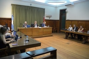 La audiencia se desarrolló durante dos horas en los tribunales de Santa Fe. Foto: Guillermo Di Salvatore