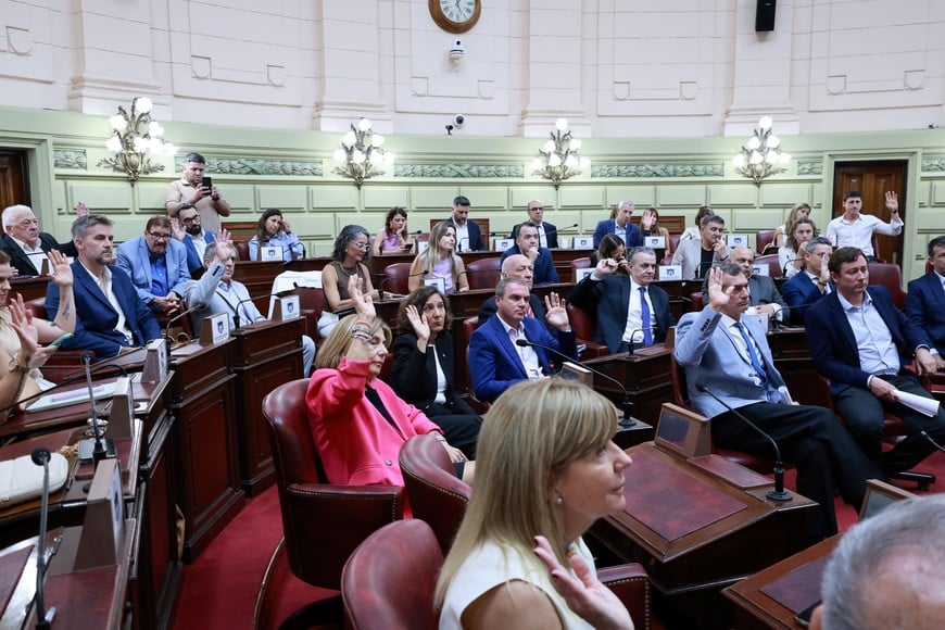 Diputados y senadores aceptaron la renuncia de Gisela Scaglia. Asamblea Legislativa