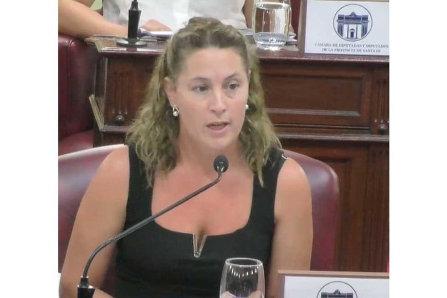 Senn fue una de las voces del oficialismo en el recinto.