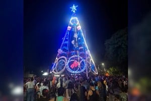 Los sanjavierinos junto a su árbol.