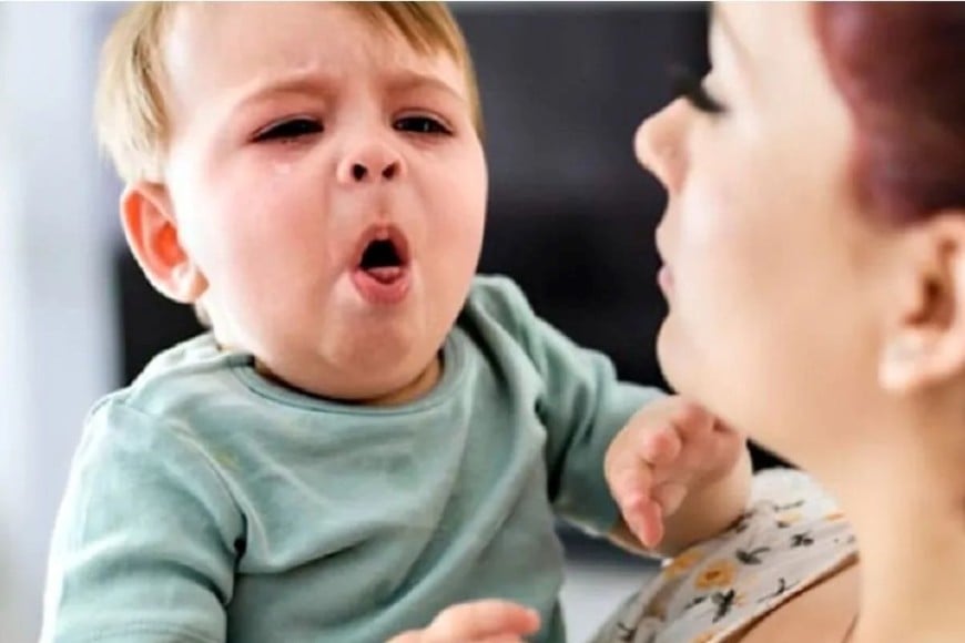 La coqueluche, infección respiratoria aguda provocada por la bacteria Bordetella pertussis