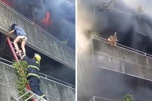 Una mujer lanzó a sus mascotas desde un balcón en pleno incendio.