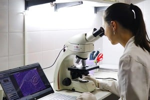 Las autoridades científicas sostienen que el nuevo esquema "margina áreas del conocimiento". Crédito: Archivo El Litoral.