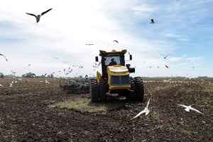 En 2025, el mercado de maquinaria agrícola ha mostrado un crecimiento en el volumen de ventas.