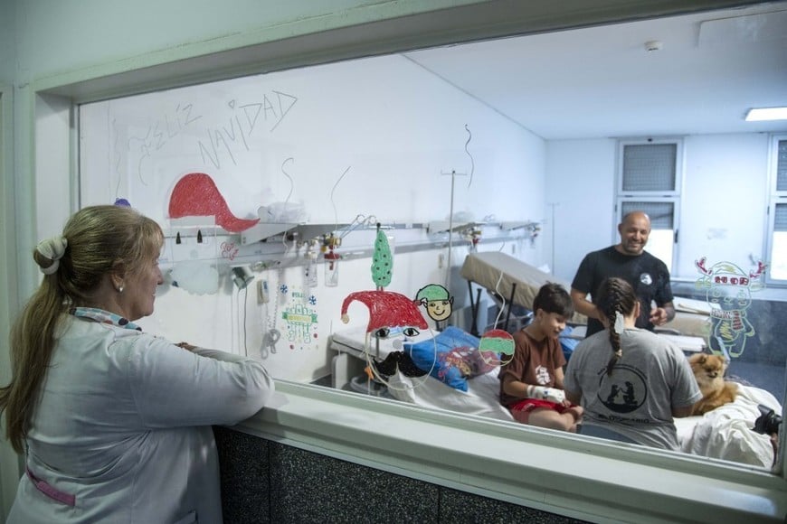 Con Cala y Zafira, comenzó la prueba piloto de ingreso de animales de compañía en el Hospital Vilela