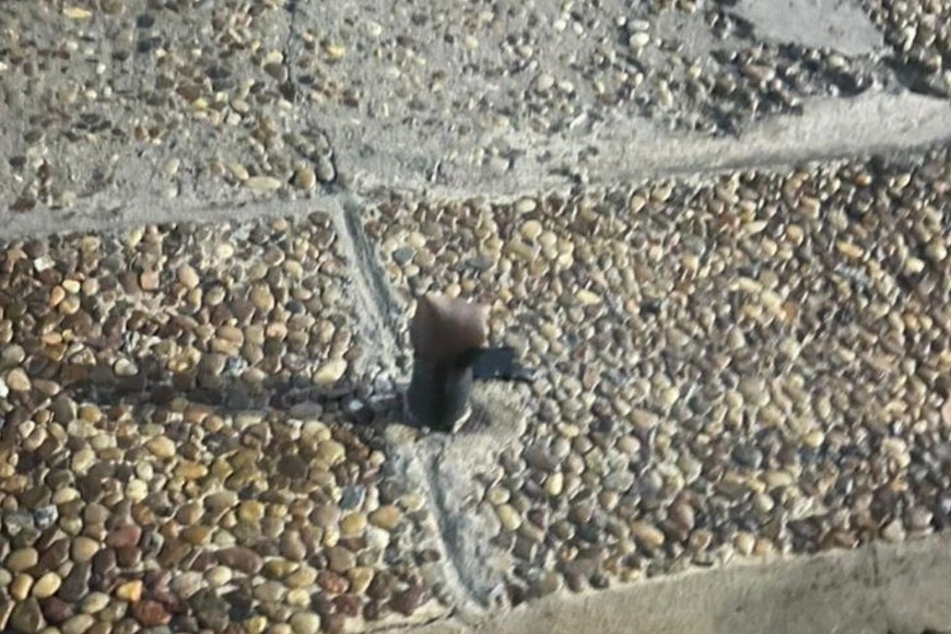 La base del cesto fue cortada por el delincuente. Foto: Gentileza