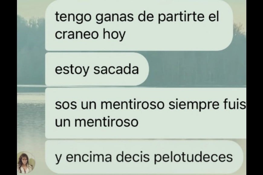 Los chats de Sofía Gonet, publicados por Homero Pettinato, quedaron en el centro del conflicto.