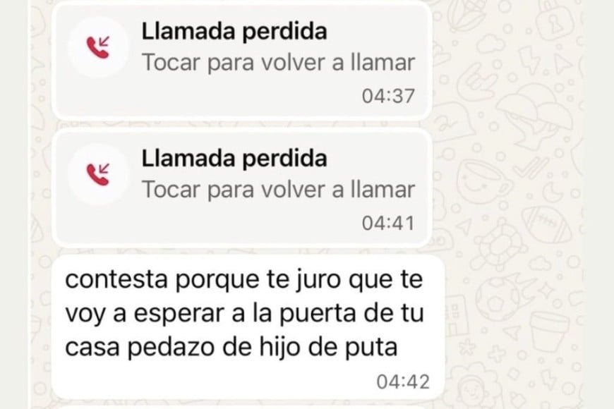 Los chats de Sofía Gonet, publicados por Homero Pettinato, quedaron en el centro del conflicto.